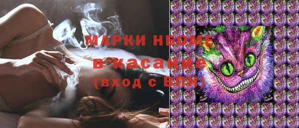 крисы Зеленодольск