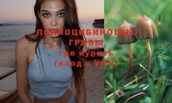 скорость mdpv Заводоуковск