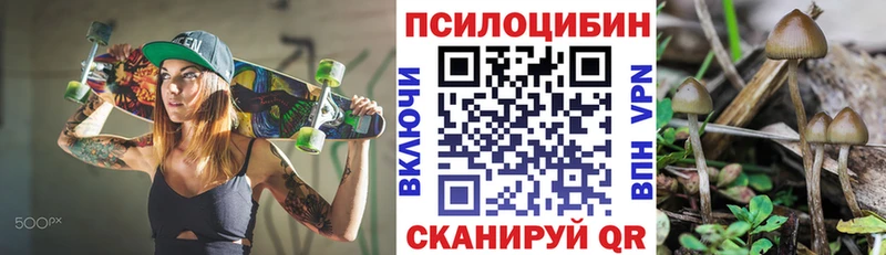 Купить  Карабаново  Псилоцибиновые грибы Psilocybine cubensis 